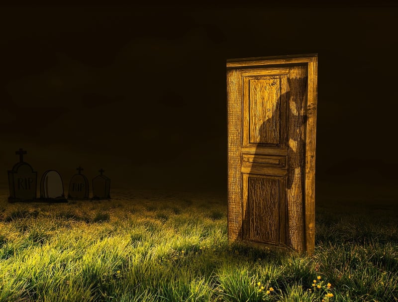 Enchanted Gardening