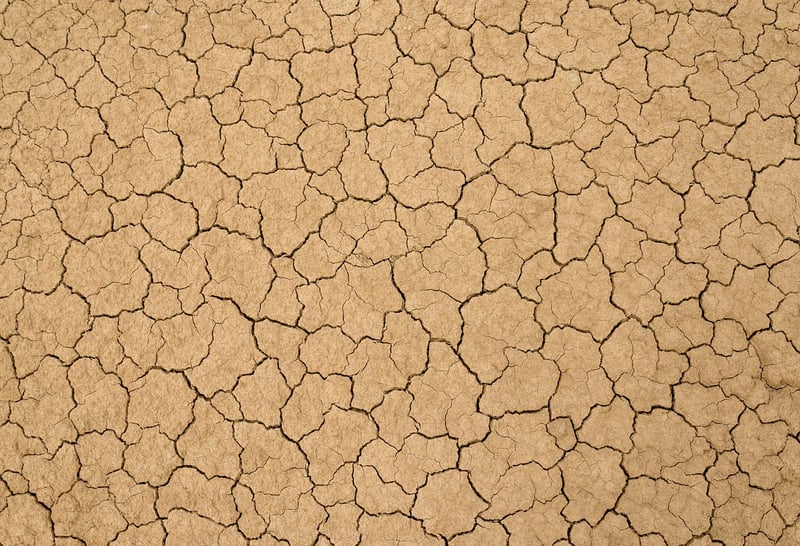 Desert Escape