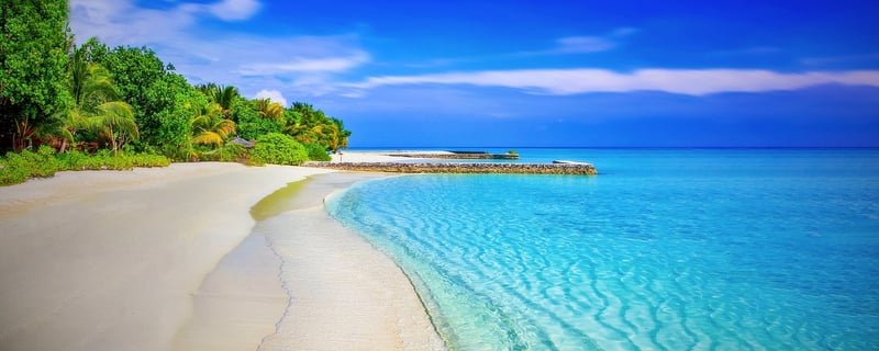 Tropical Oasis